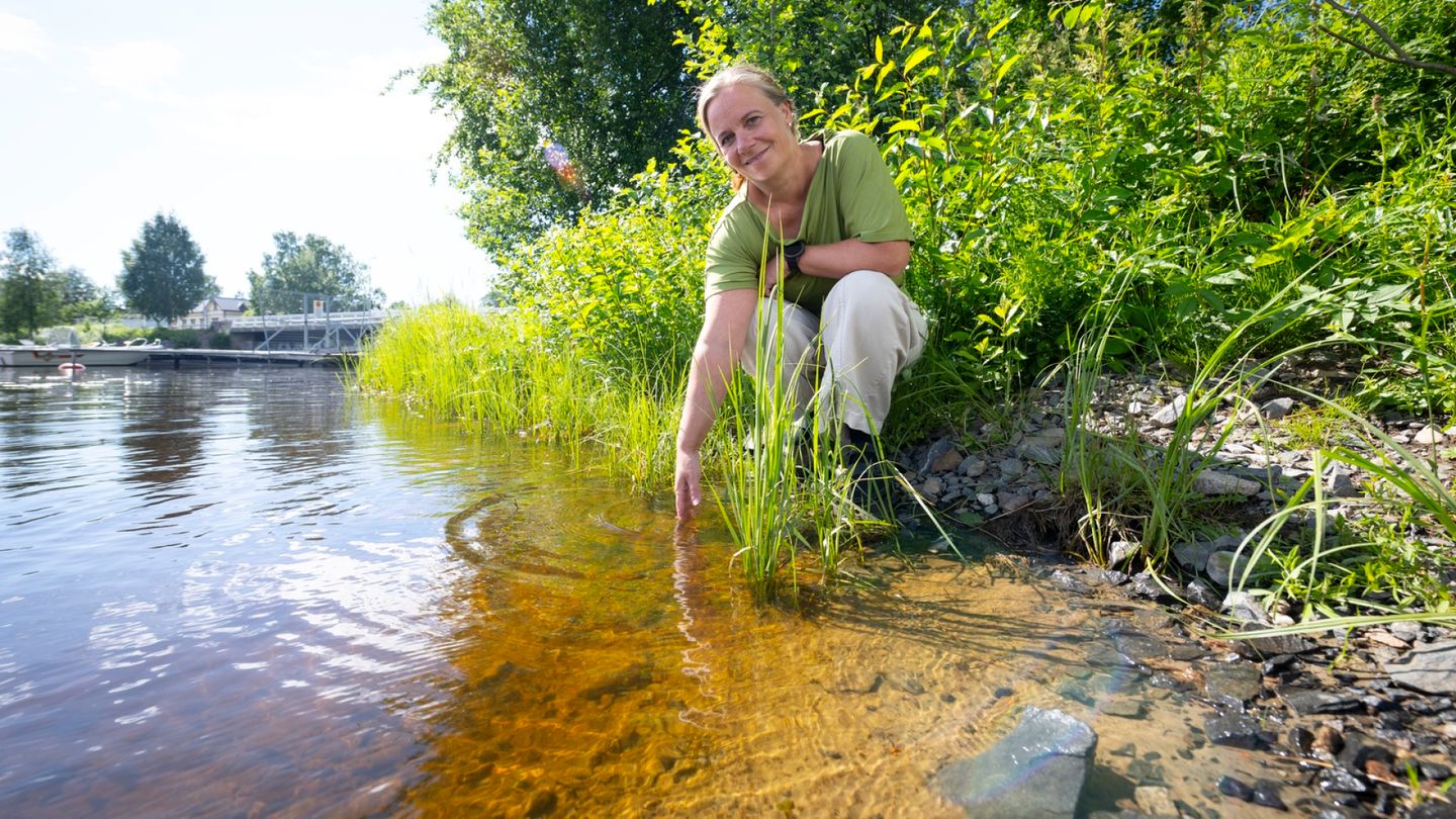 Finnish woman to attempt record swim across Bay of Bothnia to Sweden