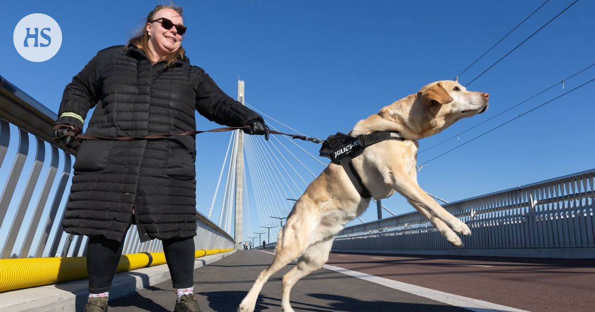 Kruunuvuorensilta | Uudella sillalla alkoi arki: Johanna Husso yllättyi, miten kevyt liikenne kulkee sillan toisella puolella