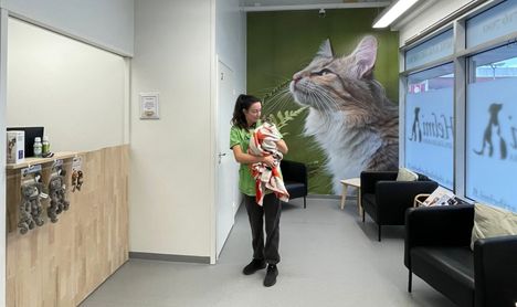 Tervakoskella toimiva eläinlääkäriasema Helmi avaa uuden toimipisteen Hämeenlinnassa vuodenvaihteen jälkeen. Yrittäjä Tiia Rasila kertoo, että sen myötä yrityksen työntekijämäärä lähes kaksinkertaistuu.
