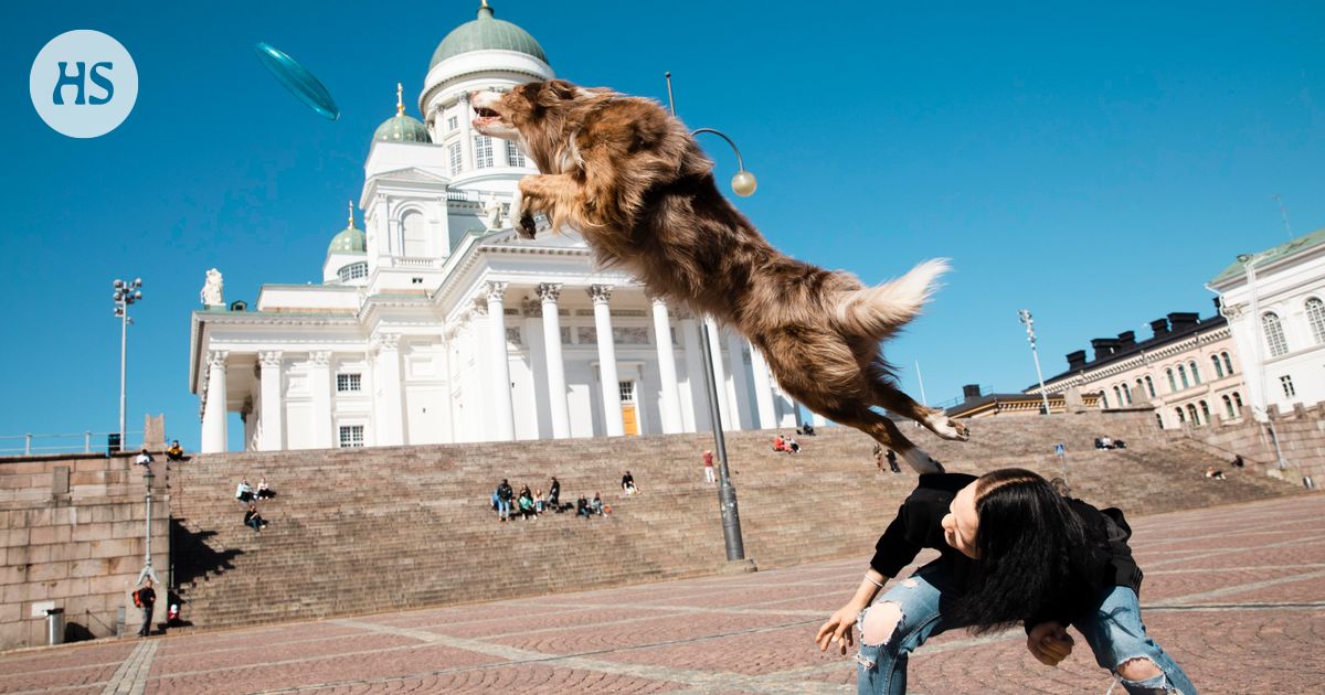 www.hs.fi