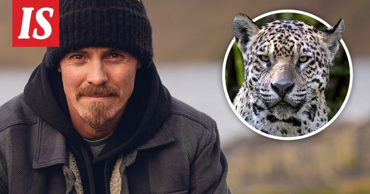 Jasper Pääkkönen huomasi pahaenteisen näyn viidakossa keskellä yötä – ”Jos se nyt vie minut...”